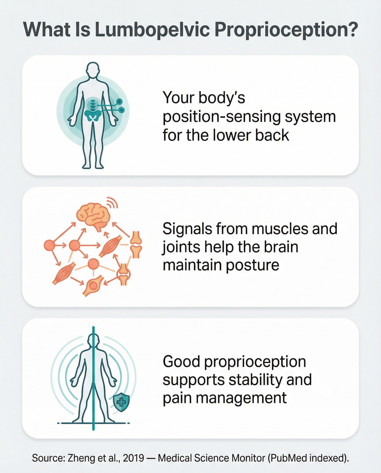Infographic explaining lumbopelvic proprioception — the body's position sensing system for the lower back and pelvis — in plain English